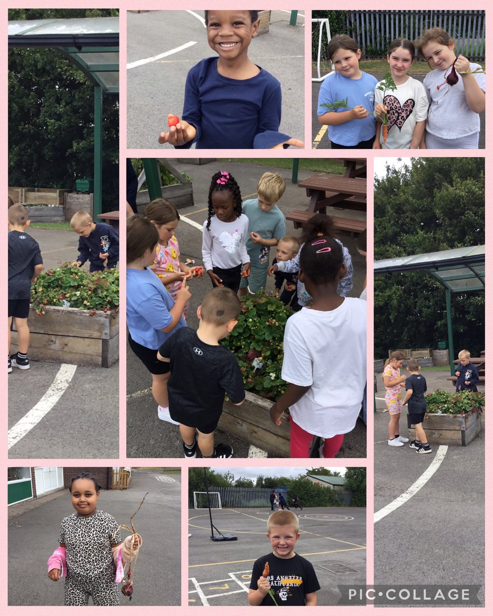 St John Lloyd RC Primary School (@sjlcardiff) on Twitter photo Mrs Shore, at Food And Fun we’ve been watering the Edible Garden and enjoying some of it‘s produce! <a href="/TreesforCities/">Trees for Cities</a> 🌳🍓 Mrs Shore, at Food And Fun we’ve been watering the Edible Garden and enjoying some of it‘s produce! <a href="/TreesforCities/">Trees for Cities</a> 🌳🍓