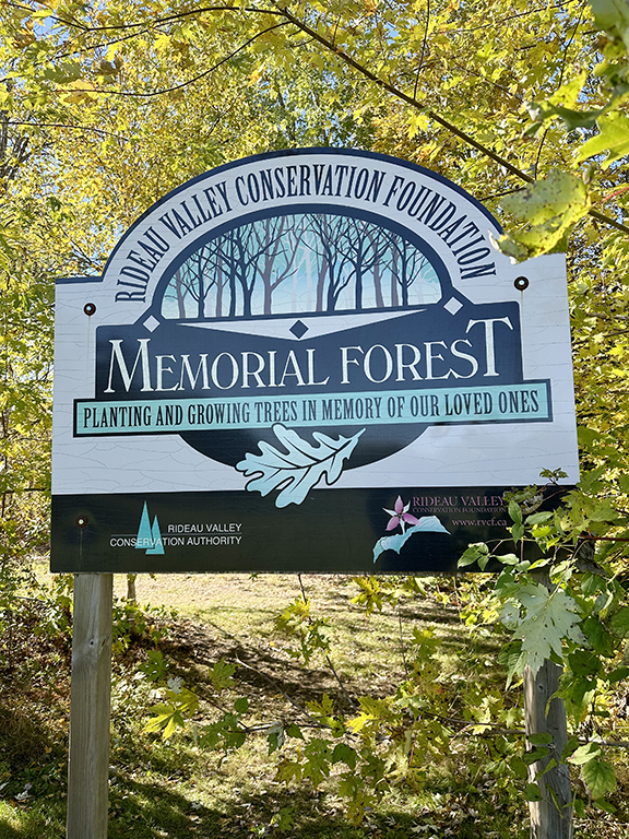 Keep their memory alive! Plant a memorial tree for those you're missing, right here in the Rideau Valley. Learn more: ow.ly/iIjb50QhZkN

#memorial #legacy #treeplanting #grief
