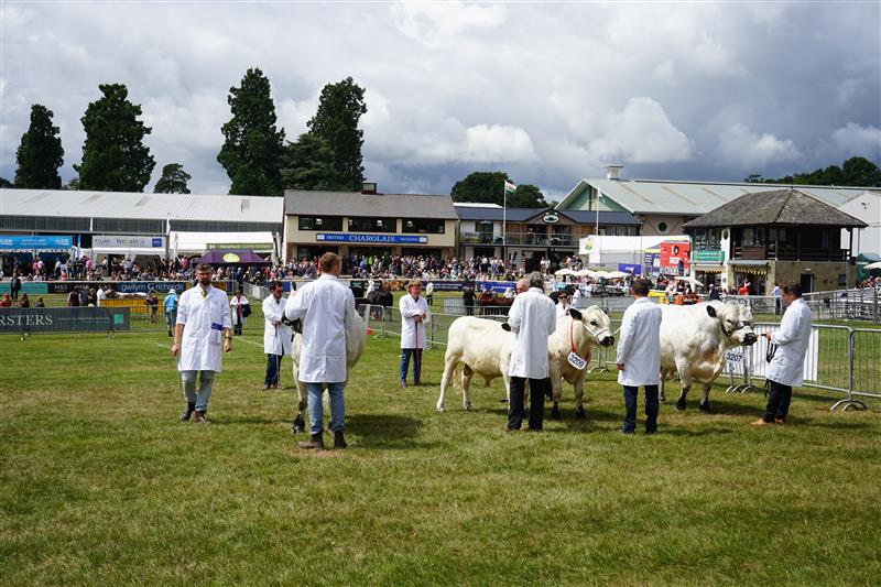 WalesOffice's tweet image. The @royalwelshshow is back for another year 🐑🚜
The world-renowned festival celebrates the best of beautiful rural Wales🐄🏴
Wales Office Minister @niagriffithmp attended to show the UK Government’s support for farmers and rural communities in Wales.