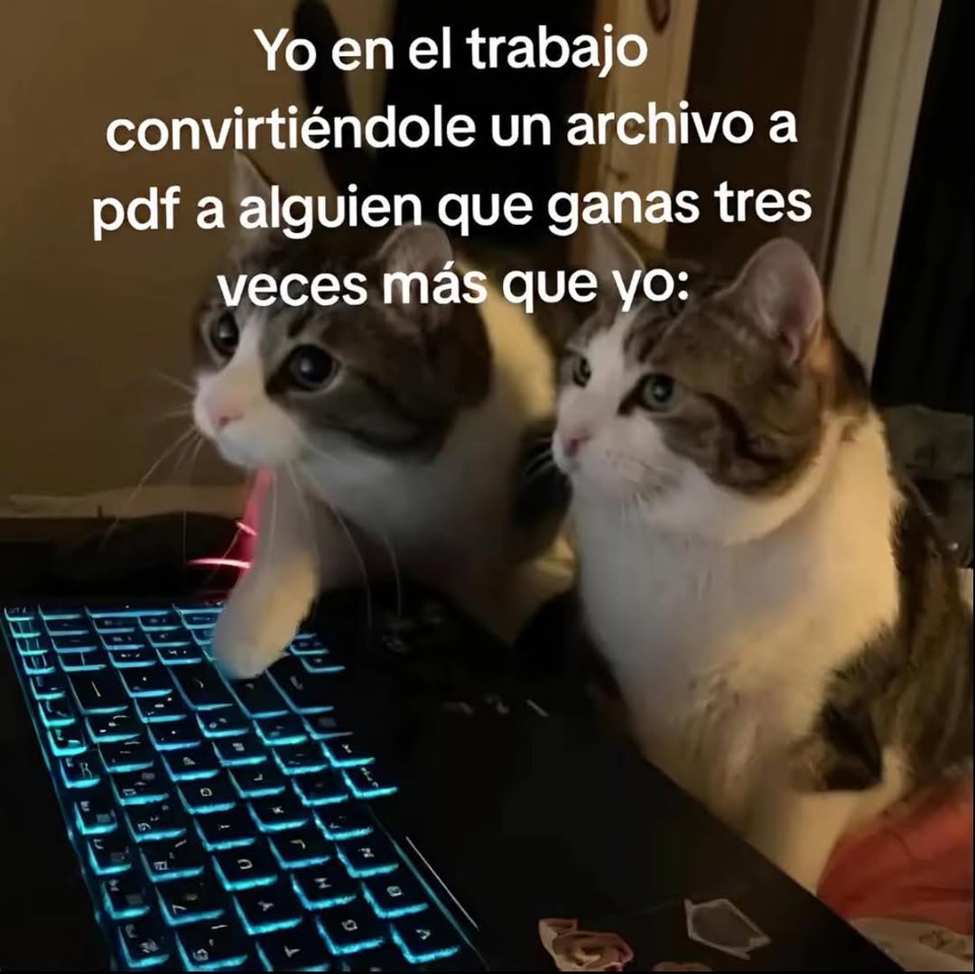 barbie_context's tweet photo. https://t.co/LZbO1kEzTS