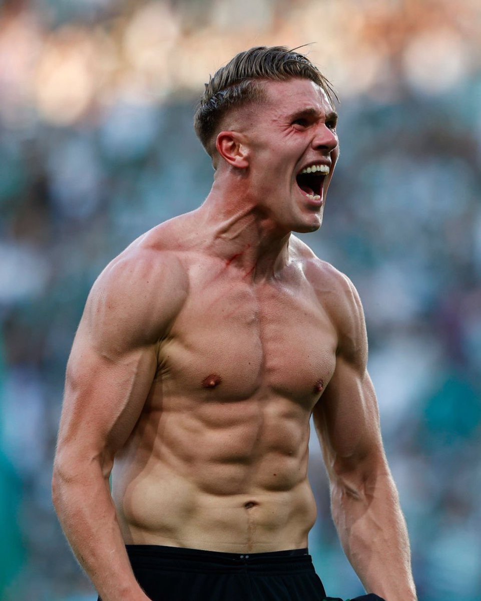 TouchlineX's tweet image. Viktor GyΓΆkeres last season! πΈπͺπ
β’ 57 games
β’ 63 goals
β’ 17 assists
β’ 80 G/A in 57 games
ARSENAL HAVE SIGNED A DEADLY STRIKER! π₯