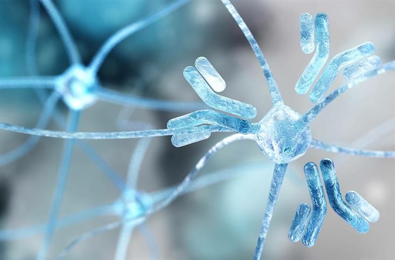 JHTechVentures's tweet image. Big win for Infinity Bio, Inc., a @JohnsHopkins-founded startup that raised $8M Series A to scale their immune profiling tech. Backed by @illuminaventure, @ptxcap, Blackbird Labs, + the Propel Baltimore Fund, they lead precision medicine & omics buff.ly/mQ8SKSm