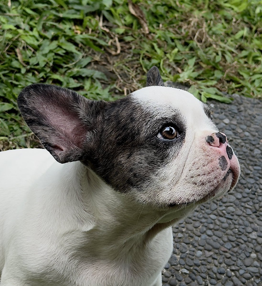 Ryanednan (𓅊,𓅊) tweet media