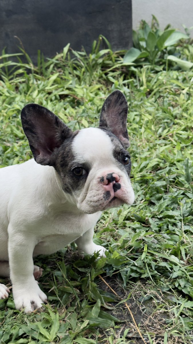 Ryanednan (𓅊,𓅊) tweet media