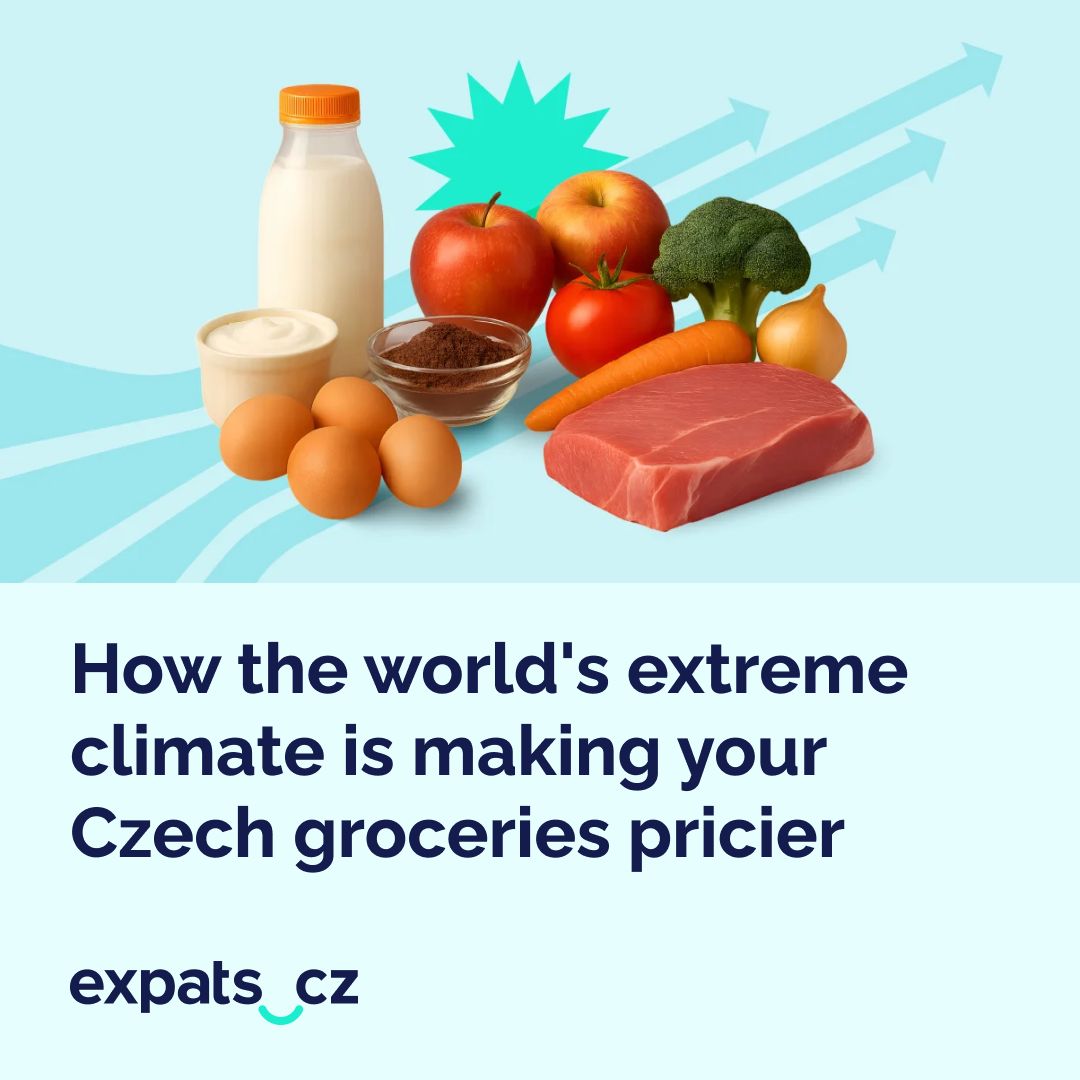expatscz's tweet image. 🛒 Shocks to supply chains around the world have bumped up the prices for several basic ingredients in Czechia, with an uncertain forecast ahead.
🍏 Here's what costs more, and how much by.
Read more: expats.cz/r/nkzyc
