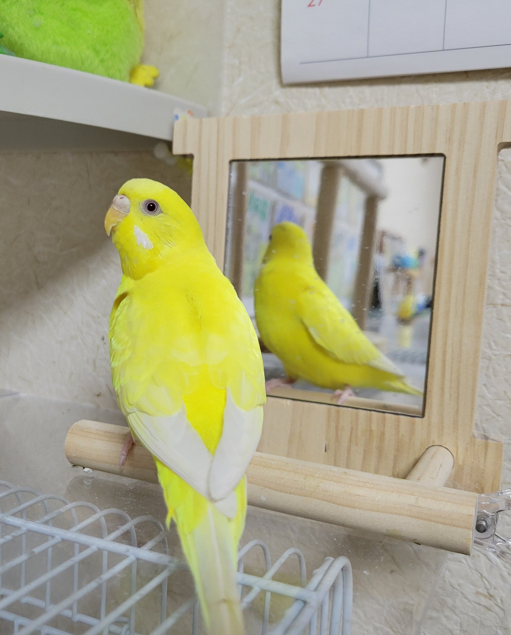 メグえもん様お取引中⭐2135⭐　❣️春夏アクセ❣️オリジナル✴一点物 メグえもん様お取引中⭐2135⭐ ❣️春夏アクセ❣️オリジナル