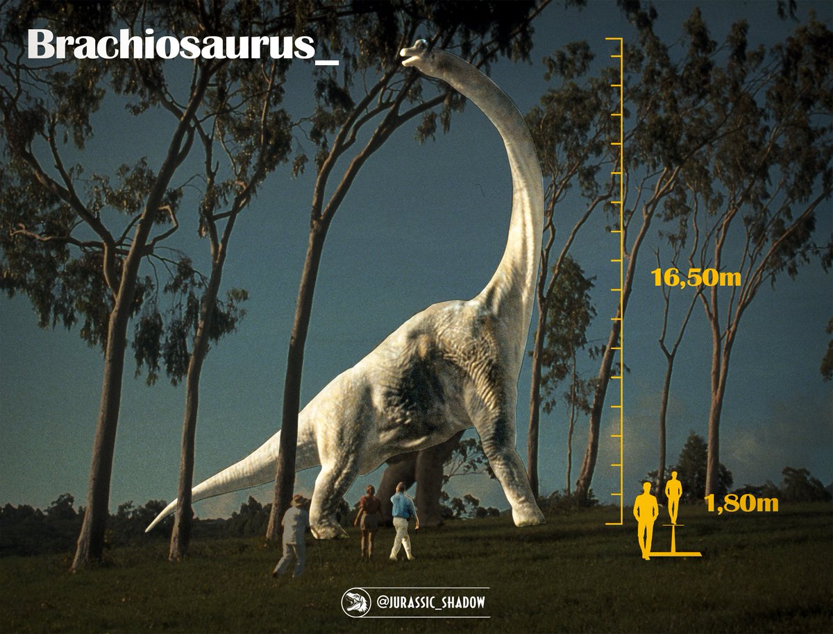 jurassic_shadow's tweet image. Titanosaurus and Brachiosaurus estimated on-screen size comparison ! 🦕
#JurassicWorld #JurassicWorldRebirth