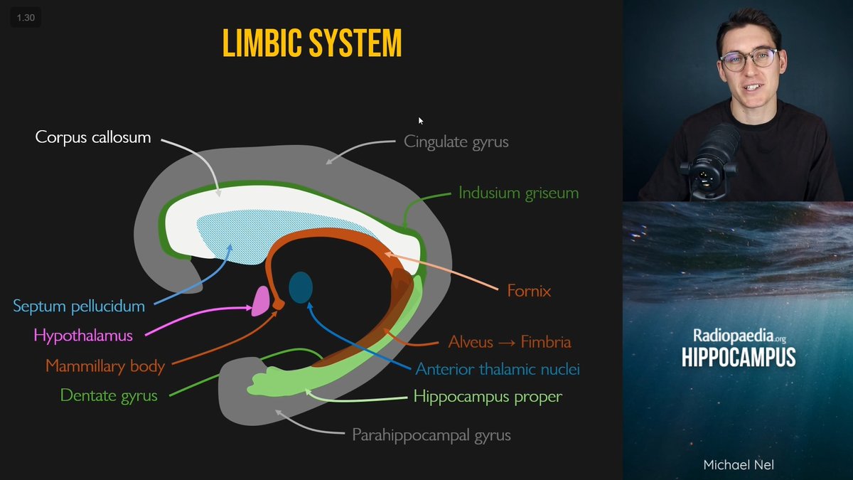 Sameer Raniga (@samrad77) on Twitter photo One of the best explanations of hippocampal anatomy I’ve ever heard.
Michael Nel- <a href="/radiologytuts/">Michael Nel</a> - masterfully demystifies this complex structure in his Radiopaedia 2025 lecture.
If the limbic system ever confused you, this one’s a game-changer.
#Radiopaedia2025 #Neuroanatomy One of the best explanations of hippocampal anatomy I’ve ever heard.
Michael Nel- <a href="/radiologytuts/">Michael Nel</a> - masterfully demystifies this complex structure in his Radiopaedia 2025 lecture.
If the limbic system ever confused you, this one’s a game-changer.
#Radiopaedia2025 #Neuroanatomy