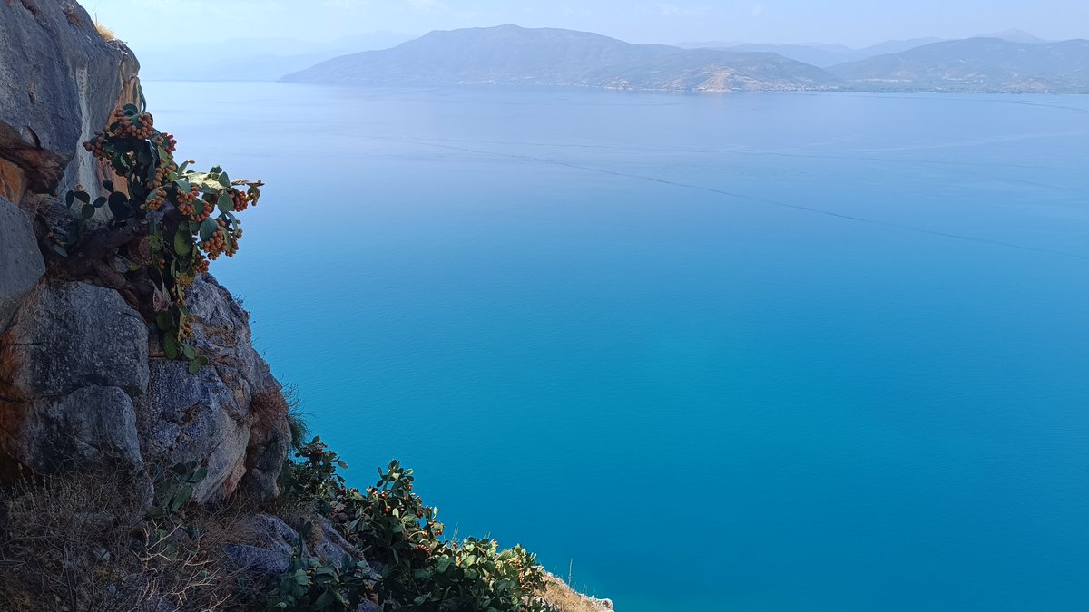 KNikodimos's tweet image. ΣΤΟΝ ΑΕΡΑ Ο ΘΑΛΑΣΣΙΟΣ ΧΩΡΟΤΑΞΙΚΟΣ ΣΧΕΔΙΑΣΜΟΣ
Την βαρυσήμαντη είδηση έφερε στην επιφάνεια σήμερα (22/7) η Καθηγήτρια Χωροταξικού Σχεδιασμού και Αειφόρου Ανάπτυξης του Παντείου Πανεπιστημίου κ. Στέλλα Κυβέλου-Χιωτίνη.
Σε συνέντευξή της στον ραδιοφωνικό σταθμό 98.4 FM ανέφερε ότι…