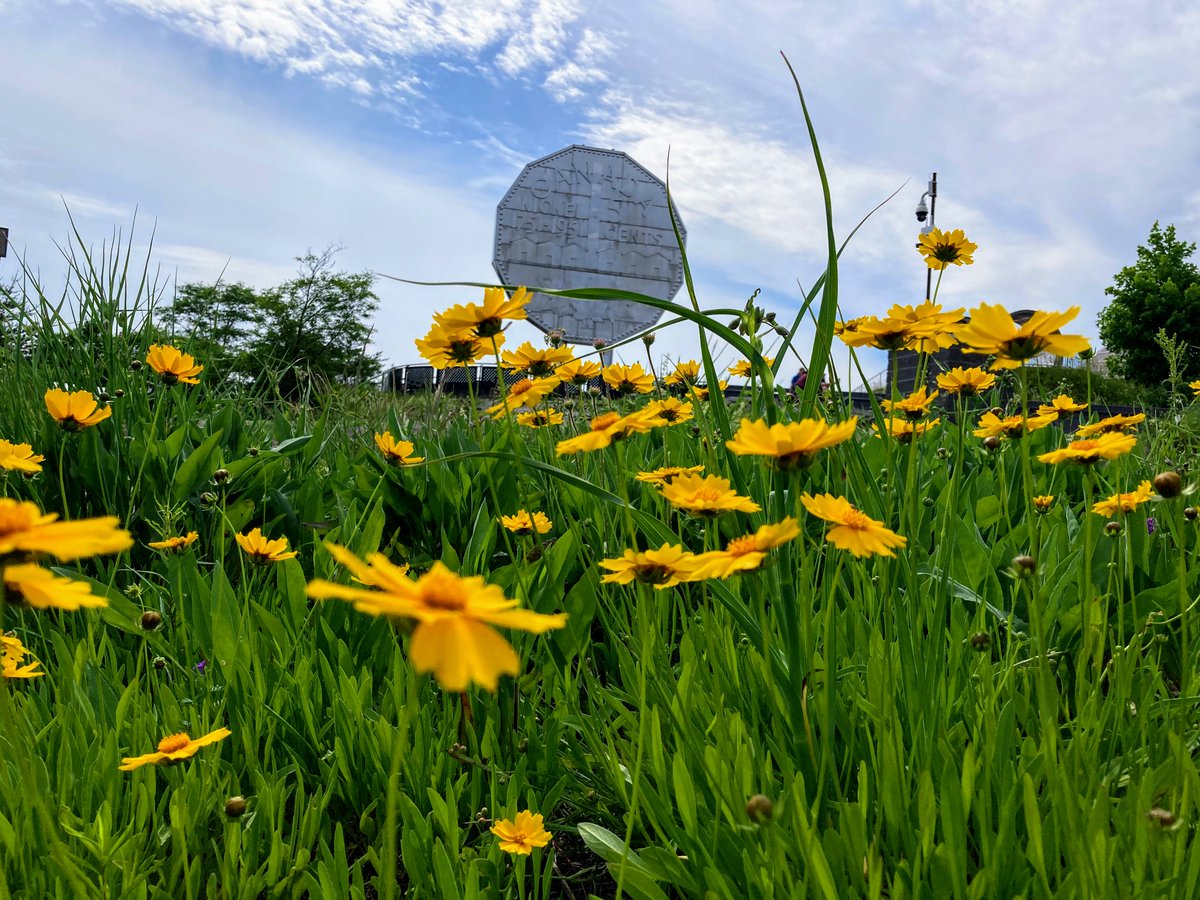 Felt cute… might delete later. 🫣

Not bad for a 61-year-old giant coin! Happy Birthday, Big Nickel! Still shining bright in Sudbury! 🪙🌼

#BigNickel #DynamicEarth #SudburyIcon #NickelCity #ScienceNorth #DiscoverSudbury