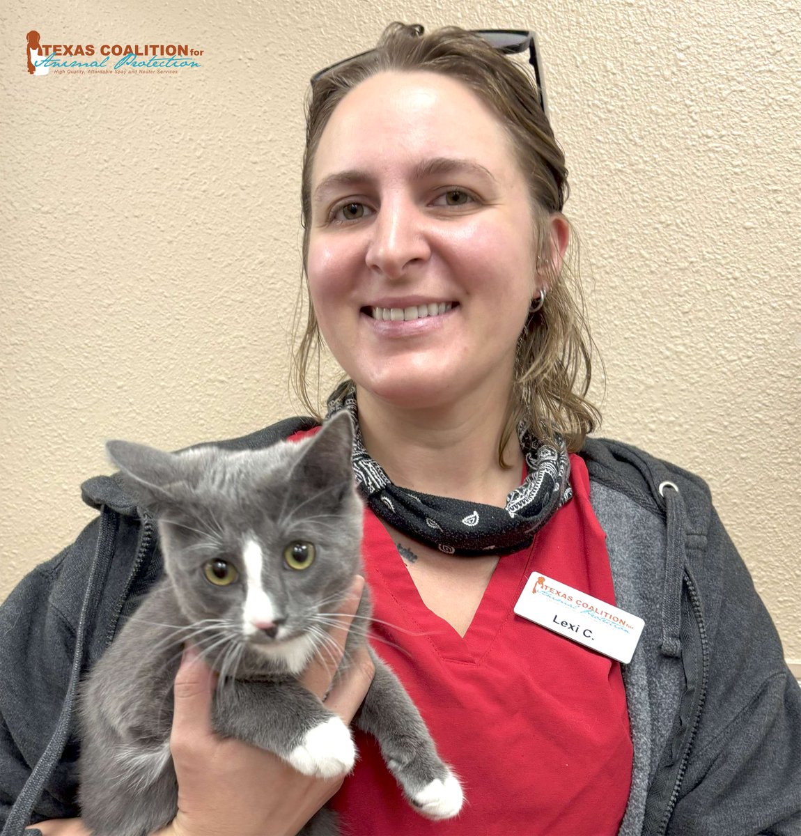 TCforAP's tweet image. Come see us at TCAP to take advantage of our 'Premium Feline Vaccine Package' for just $35!😸

⏰Calendar: ow.ly/ntFI50WrW0T
🐾Vaccination Info: ow.ly/f8rp50WrW0U

#TexasForThem #NeuterIsCuter #TCAPSpayNeuter #DFWSpayNeuter #LowCostPetCareDFW #DallasPetWellness