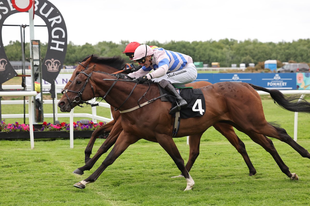 Scottish Racing (@scottishracing) on Twitter photo Racing is underway <a href="/MusselburghRace/">Musselburgh Racecourse</a> this afternoon... 🙌
Check out Gordon's preview… 👀
Gordon has spoken with <a href="/jardineracing/">Iain Jardine Racing</a> who is hoping his recent hurdle winner Ravenscraig Castle can carry on the good work...🏇
Read here 👉 bit.ly/ScottishRacing…
🏴🏇 Racing is underway <a href="/MusselburghRace/">Musselburgh Racecourse</a> this afternoon... 🙌
Check out Gordon's preview… 👀
Gordon has spoken with <a href="/jardineracing/">Iain Jardine Racing</a> who is hoping his recent hurdle winner Ravenscraig Castle can carry on the good work...🏇
Read here 👉 bit.ly/ScottishRacing…
🏴🏇