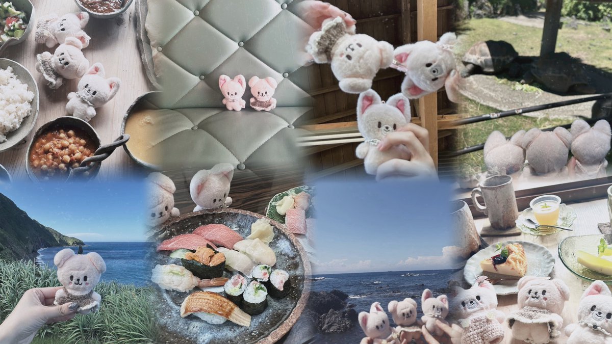 ミうら (@rqu_skz) on Twitter photo 🐾ふぉくぱぴしに🐾 🐾ふぉくぱぴしに🐾