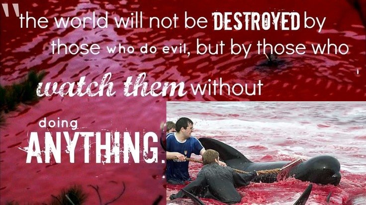 <a href="/janischshane/">Shane Janisch 🇺🇦🐬🐳</a> <a href="/Tinganes/">The Government of the Faroe Islands 🇫🇴</a>