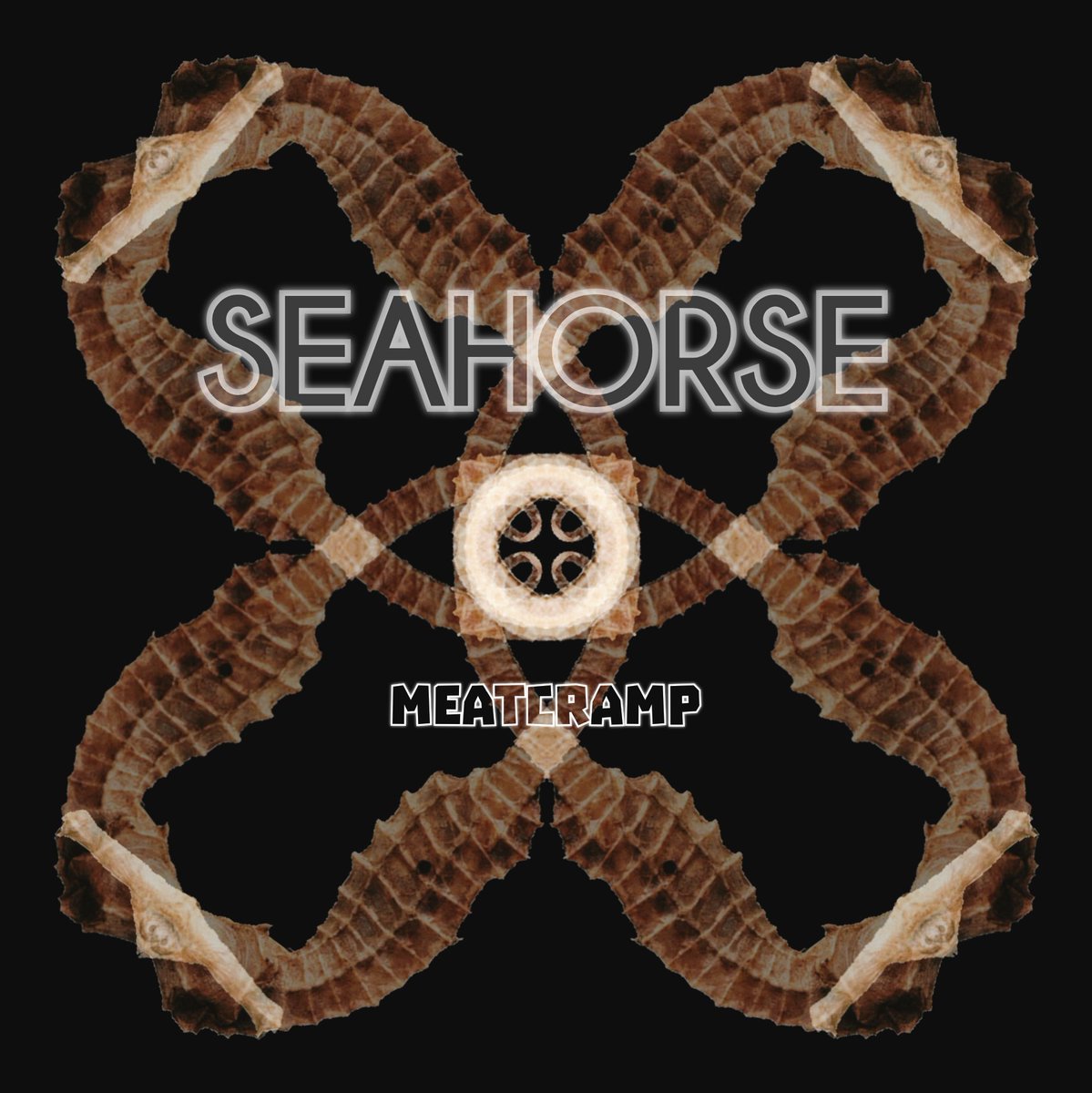 meatcramp's tweet image. A FULL HOUR OF NOISE
Check out the debut EP from the
"Drone/Noise Pyschonaut"
on #BandCamp
Free to download, donations are very welcome.
#newmusic #electronicmusic #drone #NOISE #Ambient #Soundscape
#meatcrampaudio
meatcramp.bandcamp.com/album/seahorse
