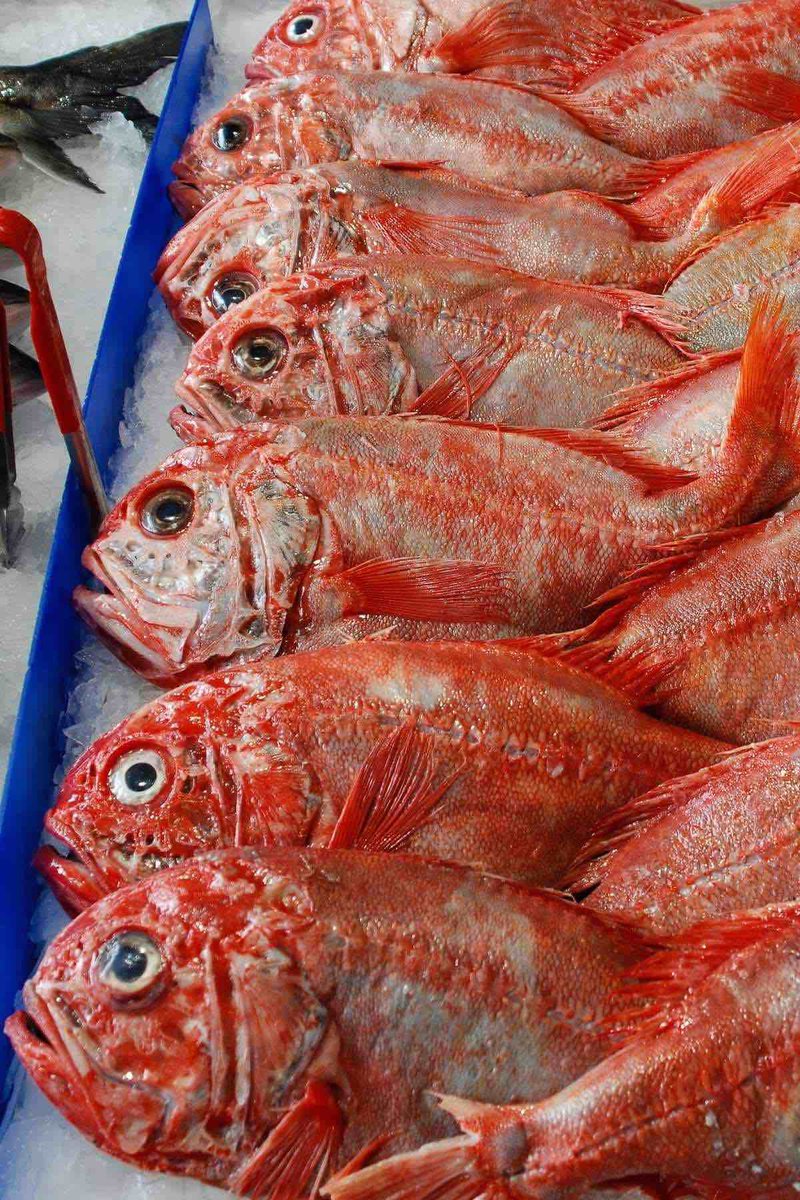 anactualwalnut's tweet image. Iβm a massive massive seafood hater. I think that shit tastes like salty funky infection (fish is a repulsive flavor profile, I will never ever comprehend it, esp when we discuss how gross fish markets smell and equate the scent of fish with infected genitals and seafood tastesβ¦