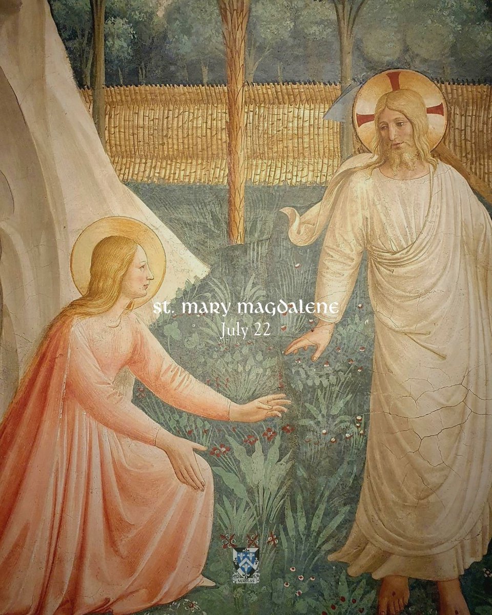dominicanfriars's tweet image. Happy Feast of St. Mary Magdalene!
From the earliest days of the Order of Preachers, Dominicans have honored St. Mary Magdalene as their Co-Patroness. For instance, according to Bl. Humbert of Romans, who was the fifth Master of the Order from 1254-1263:
After Magdalene was…