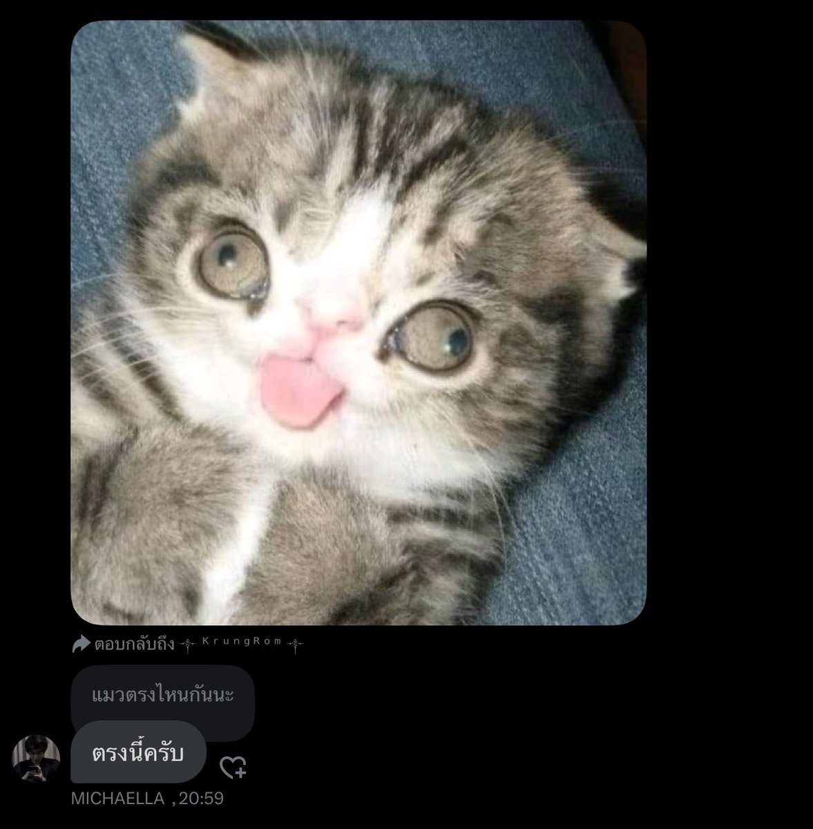 𝗧𝗘𝗠𝗣 tweet media