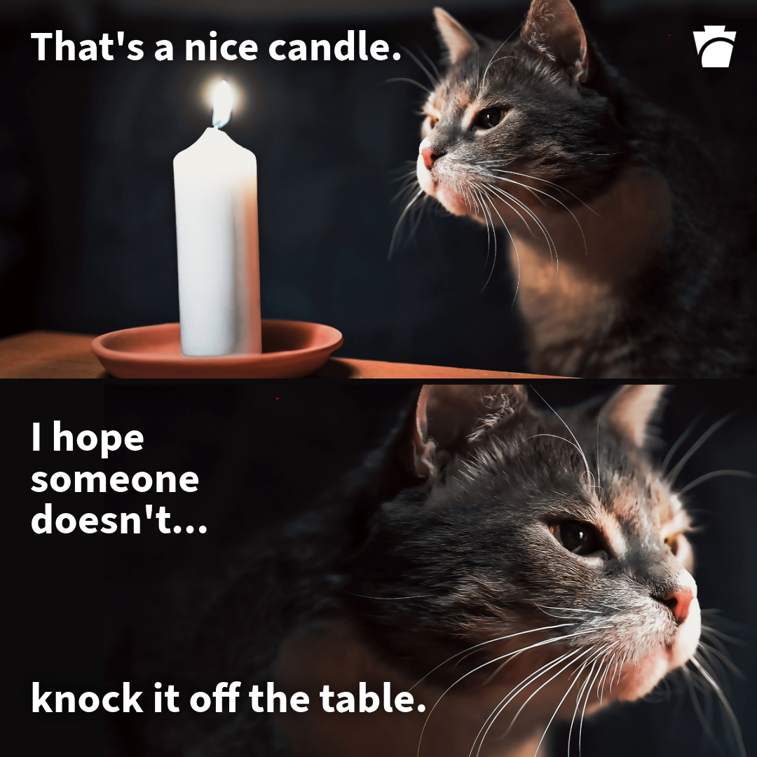 So, your roommate’s cat just knocked over a candle. Again 🙄

Why get renter’s insurance? Because “it was an accident” doesn’t buy you a new laptop.