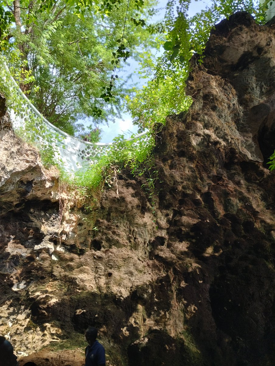 daktari_MS's tweet image. How do you map a resort seamlessly built into natural coral rock formations, featuring underground kitchens, hidden caves, and dense vegetation? Traditional survey methods don&apos;t cut it, so we brought in cutting-edge #LiDAR and #SLAM technology to capture every intricate detail.