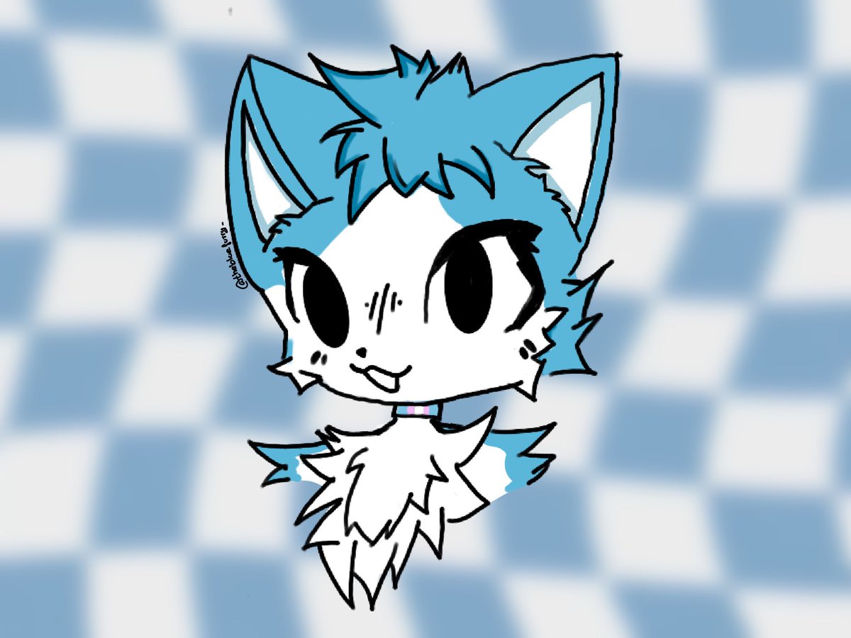 BashCat tweet media