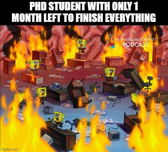 TheStrugglingS4's tweet photo. Actual footage from my PhD👇 https://t.co/p6IXHuArrj