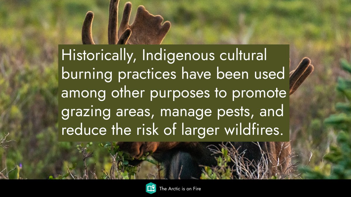 ArcticCouncil's tweet image. Indigenous Peoples in the Arctic have long used cultural burning to care for the land—boosting biodiversity & reducing wildfire risk. Suppressing these practices has made the Arctic more vulnerable for wildfires 🔥
➡️ Learn more in the StoryMap: arcg.is/145X0b0