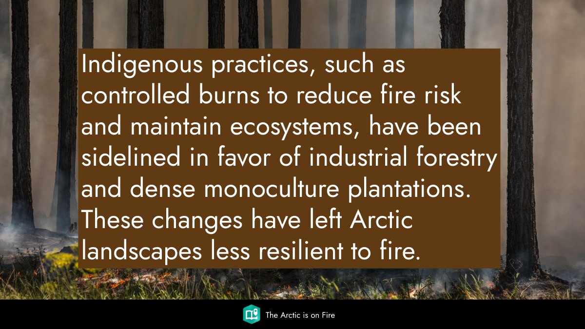 ArcticCouncil's tweet image. Indigenous Peoples in the Arctic have long used cultural burning to care for the land—boosting biodiversity & reducing wildfire risk. Suppressing these practices has made the Arctic more vulnerable for wildfires 🔥
➡️ Learn more in the StoryMap: arcg.is/145X0b0