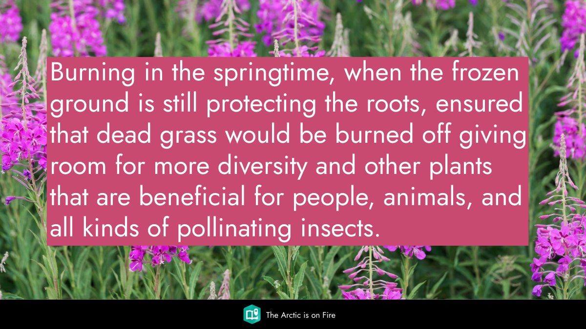 ArcticCouncil's tweet image. Indigenous Peoples in the Arctic have long used cultural burning to care for the land—boosting biodiversity & reducing wildfire risk. Suppressing these practices has made the Arctic more vulnerable for wildfires 🔥
➡️ Learn more in the StoryMap: arcg.is/145X0b0