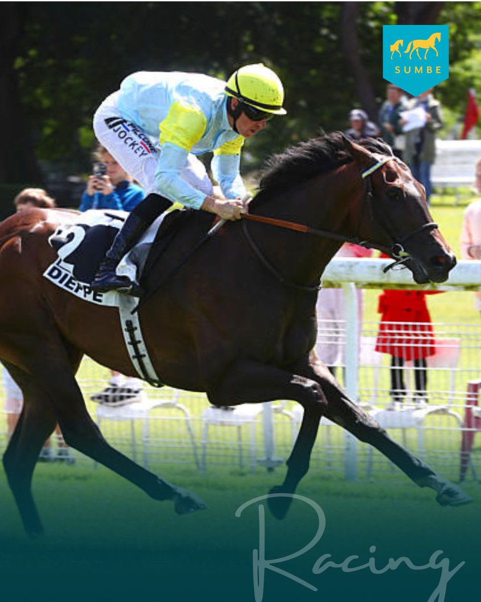Une victoire 💯% Made in Sumbe ! ✨
Shamsat, né et élevé Sumbe, décroche facilement son Maiden à Dieppe 💪🏻