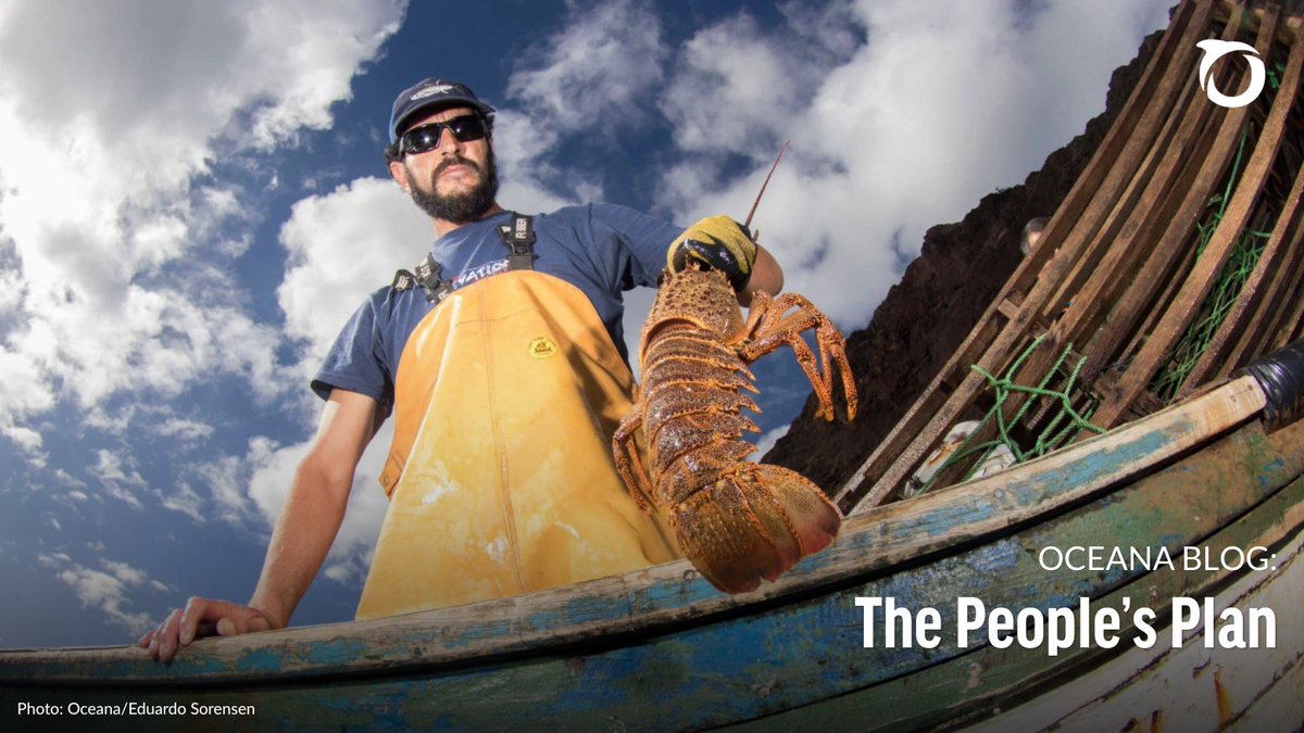 oceana's tweet image. READ: In Chile’s Juan Fernández Islands, local lobster fishers are proving that ocean conservation and sustainable fishing can go hand in hand. 🦞🌊
See how the people’s plan is protecting a way of life—and a thriving ocean: oceana.ly/453RV3T