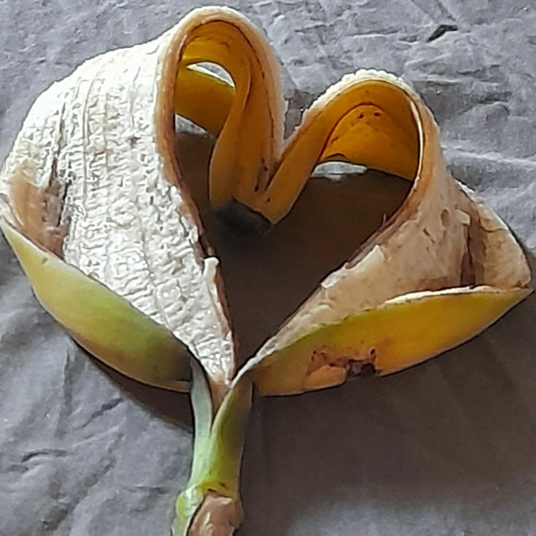 I took this picture a long time ago idk how i came up with it but i think banana peel shaped heart is cool