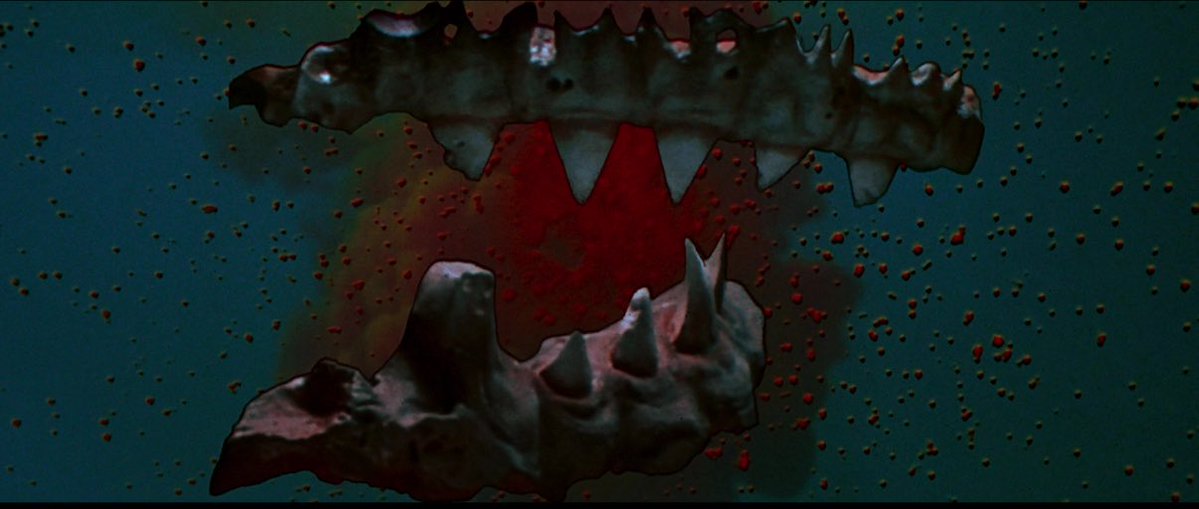 HBarletto's tweet image. Today in 1983 we were treated to the gem that is Jaws 3-D.
Part of the 80s revival of 3D movies, like Friday the 13th Part III and Amityville 3D.