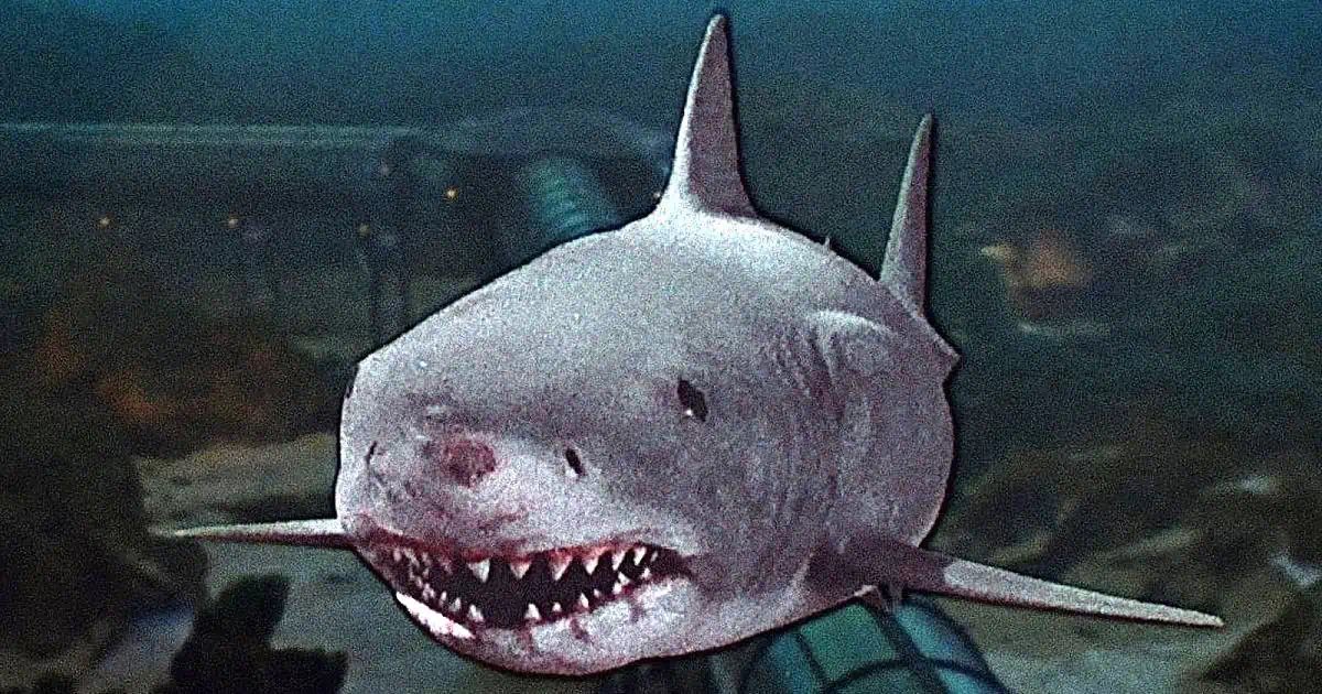 HBarletto's tweet image. Today in 1983 we were treated to the gem that is Jaws 3-D.
Part of the 80s revival of 3D movies, like Friday the 13th Part III and Amityville 3D.