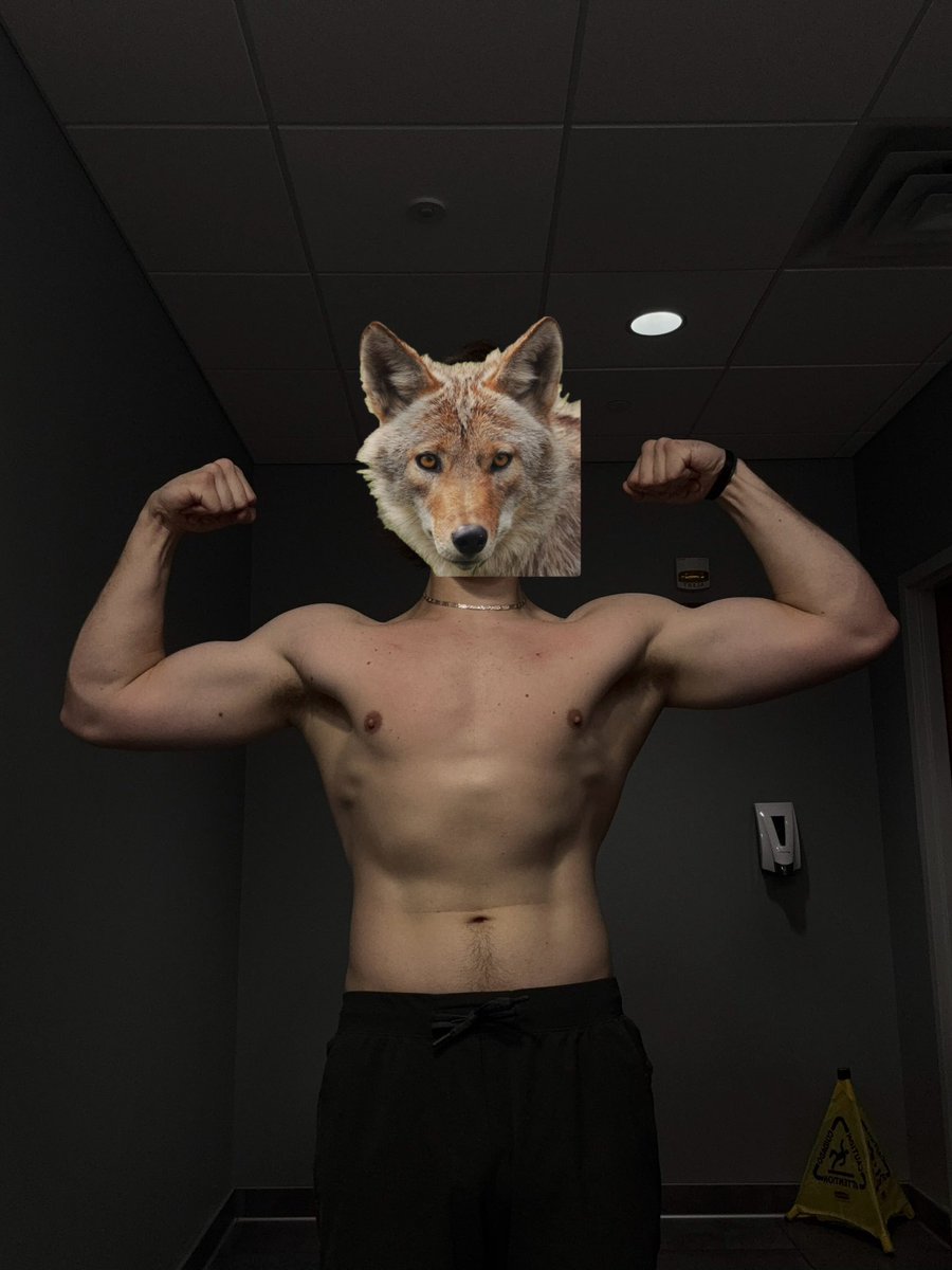 KodakCoyote's tweet image. Lost 15 pounds since AC LMAO
we gotta bulk harder I guess