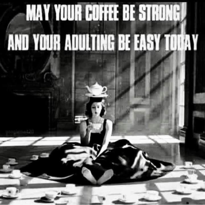 Good morning everyone! ☕️☕️☕️