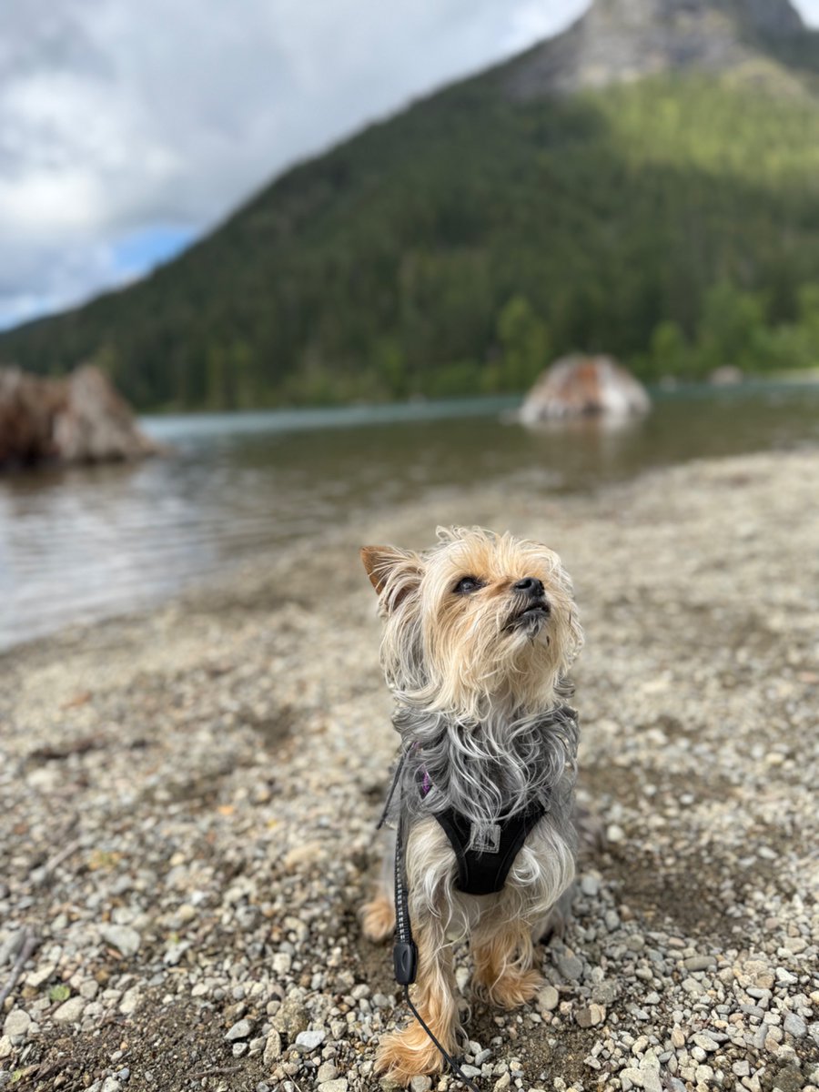 Missing my furbaby right now. See you and everyone soon (in 3 days) 💙