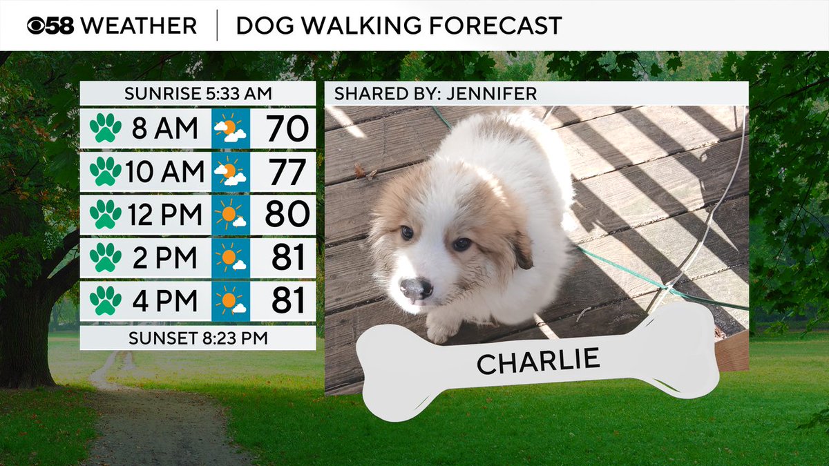 JustinTGee's tweet image. Charlie is our featured pet today! A warmer day but not hot yet with highs around 80. Any chance for rain today has gone away so should be nice dry dog walks but becoming more muggy.