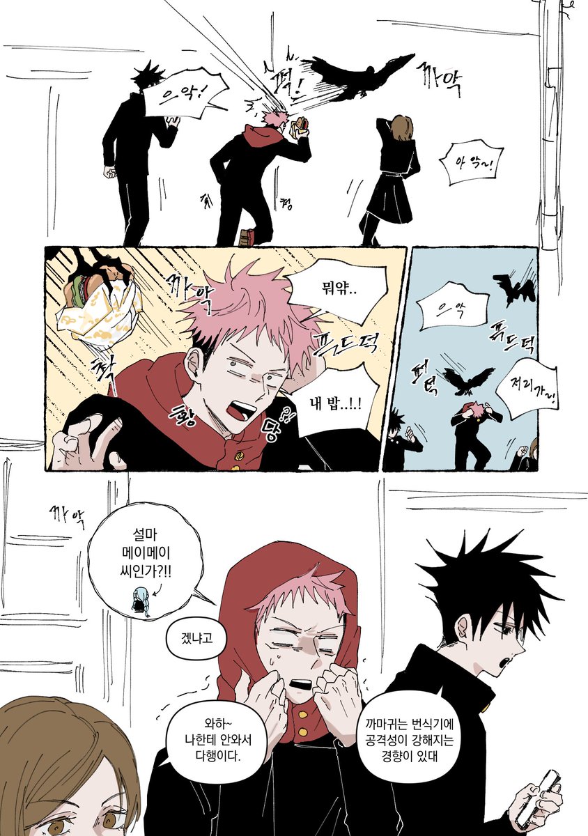 동네 까마귀들이 사람을 공격한다더라..