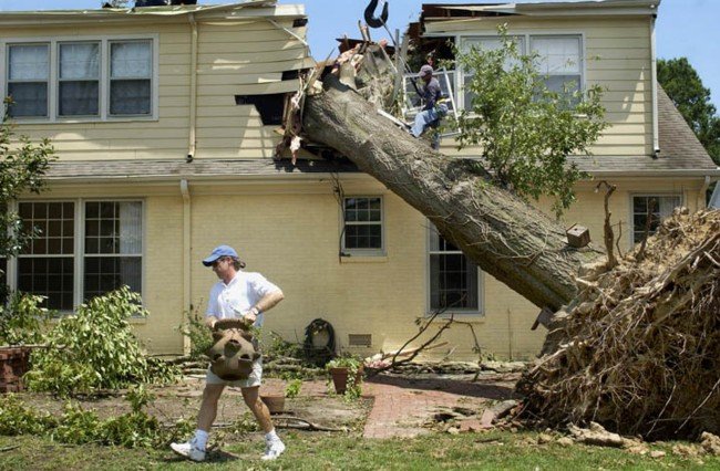 weather_history's tweet image. July 22, 2003:
A powerful derecho swept through parts of the Southern US. Substantial damage occurred in Memphis, Tennessee, where wind gusts over 100 mph downed countless trees and knocked out power to several hundred thousand homes. Seven people were killed.
#wxhistory