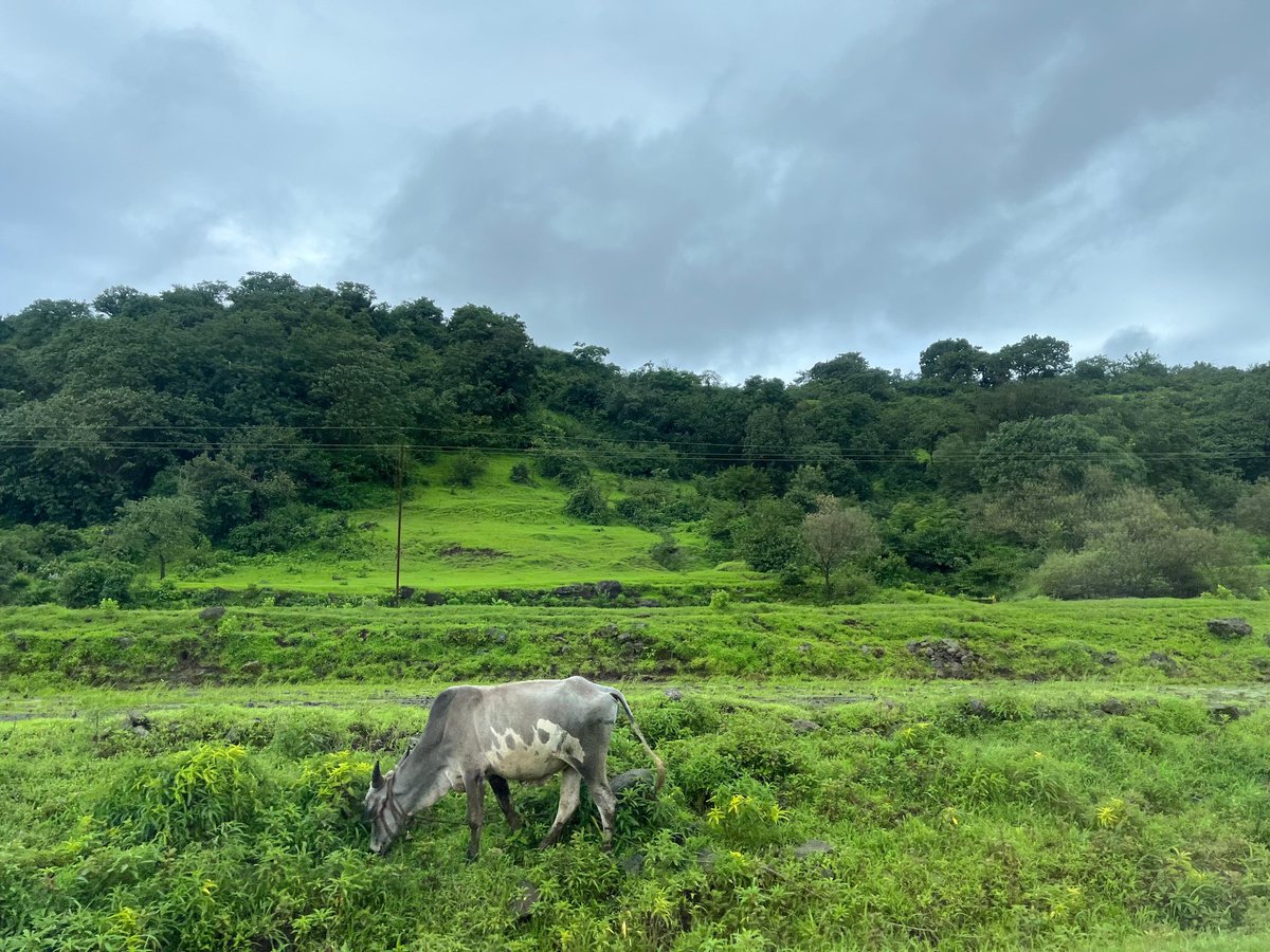 What a Beauty😍❤️