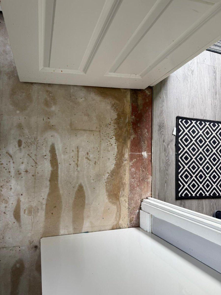 Gamble free girl tweet media