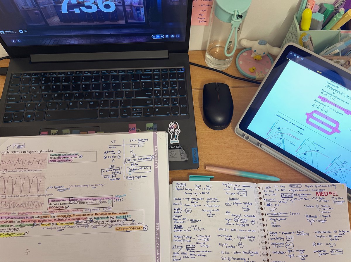 hershey_studies's tweet image. About 10 days for my exam left 
#studytwt
