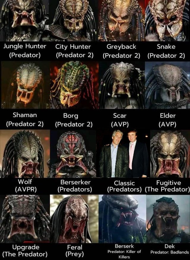 onlystuffilike's tweet image. Oh this is neat, it shows the different Predators over the years