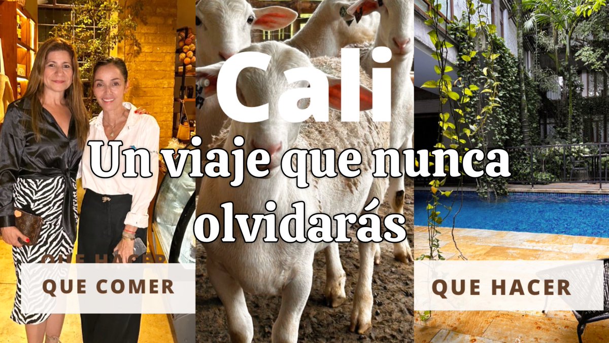 CONOCE UN CALI, BONITO , BARATO Y MUY DELICIOSO junto a la chef Catalina Vélez  y Luisa Fèliz . youtu.be/3XMvC7u0oyE?si….    <a href="/EnterateCali/">Entérate Cali - Noticias Cali</a> <a href="/CaliesCaliCOL/">CALI ES CALI</a> <a href="/AlcaldiaDeCali/">Alcaldía de Cali</a> <a href="/elpaiscali/">El País Cali 📰</a> <a href="/Cine_Colombia/">Cine Colombia</a> <a href="/infopresidencia/">Presidencia Colombia 🇨🇴</a> <a href="/CancilleriaCol/">Cancillería Colombia</a> <a href="/buengustoco/">Revista Buen Gusto</a> <a href="/CaliCocina/">Cali Cocina</a>