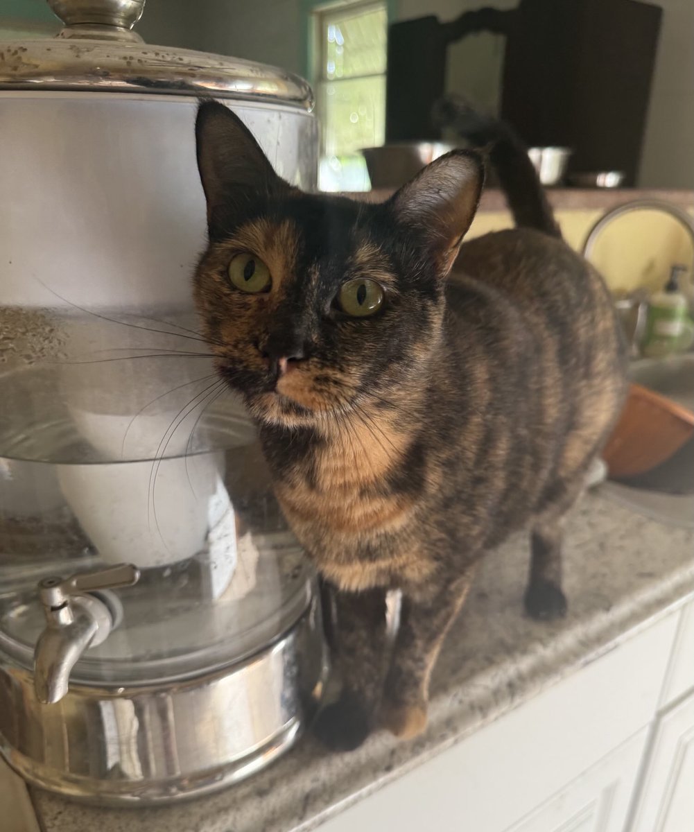 Loretta says, breakfast please!