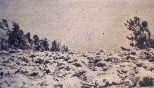 ametsoc's tweet image. Today in history 🗓
22 July 1918: A single bolt of lightning killed 504 sheep in Utah’s Wasatch National Forest.
Photo credit 📷: U.S. Forest Service