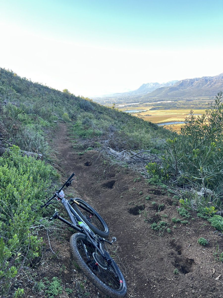 The highly motivated porcupine trail maintenance team doing excellent de-bulbing work on the Meulstroom ⁦<a href="/PlaisirEstate/">Plaisir</a>⁩