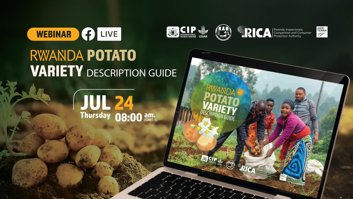 International Potato Center (@cipotato) on Twitter photo Rwanda is launching 🎉 its first-ever Potato Variety Description Guide!
Developed by <a href="/RwandaAgriBoard/">Rwanda Agriculture & Animal Resources Devpt Board</a>, <a href="/InspectorateRw/">Rwanda Inspectorate, Competition & C.P Authority</a> & <a href="/Cipotato/">International Potato Center</a>, the guide offers profiles of all 19 officially released varieties—with data on yield 🌱, disease resistance, agroecological zones & more.
👉🏽 Rwanda is launching 🎉 its first-ever Potato Variety Description Guide!
Developed by <a href="/RwandaAgriBoard/">Rwanda Agriculture & Animal Resources Devpt Board</a>, <a href="/InspectorateRw/">Rwanda Inspectorate, Competition & C.P Authority</a> & <a href="/Cipotato/">International Potato Center</a>, the guide offers profiles of all 19 officially released varieties—with data on yield 🌱, disease resistance, agroecological zones & more.
👉🏽