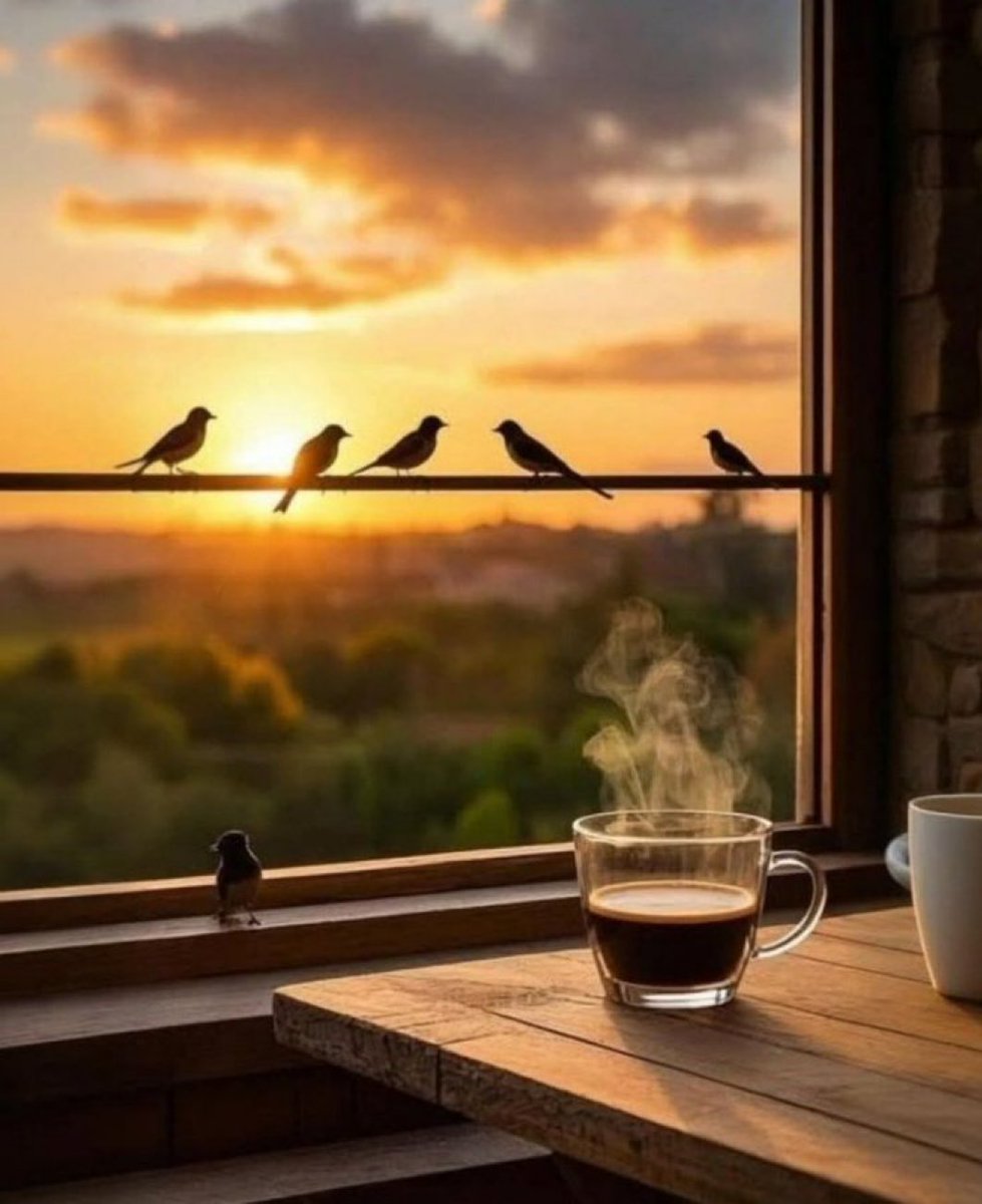 ma99112688's tweet image. “Keep your vibes positive and your coffee strong this Tuesday morning!”